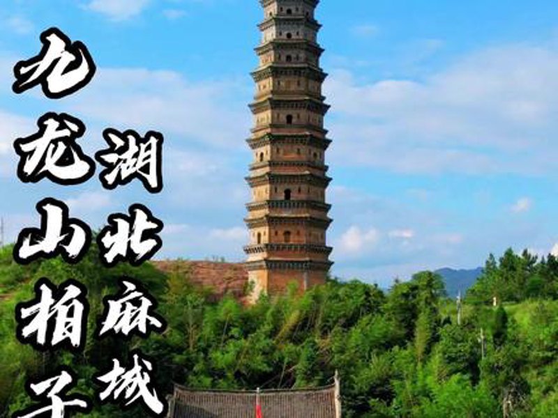 商用咖啡机市场迎来新变化